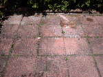  Brick make for a classic exterior appearance to a house, however not when they look like this. 